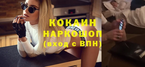 гидра Богданович