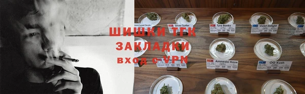 mdpv Богородск