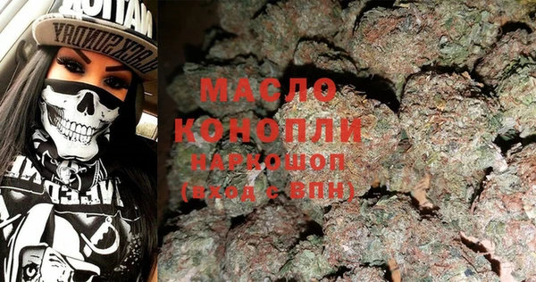 гидра Богданович