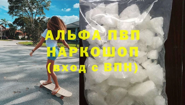 гидра Богданович