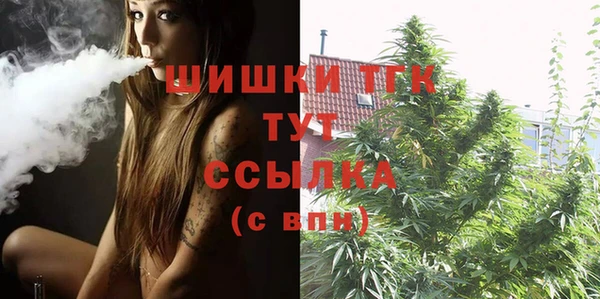 гидра Богданович