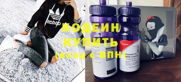 гидра Богданович