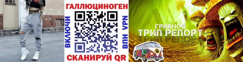 Галлюциногенные грибы Psilocybine cubensis это наркотические препараты Невьянск блэк спрут онион